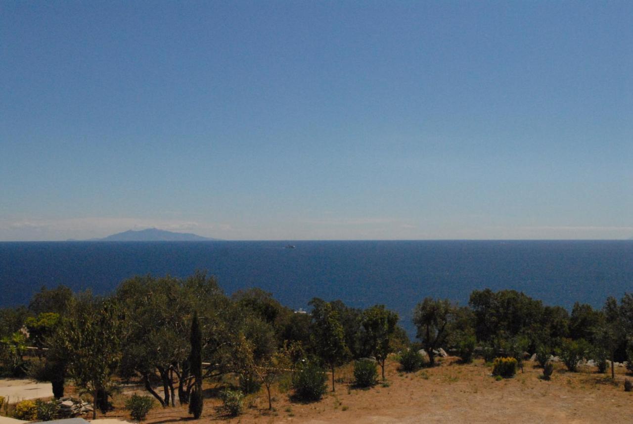 Appartement Vue Sur Mer Santa-Maria-di-Lota Exteriér fotografie