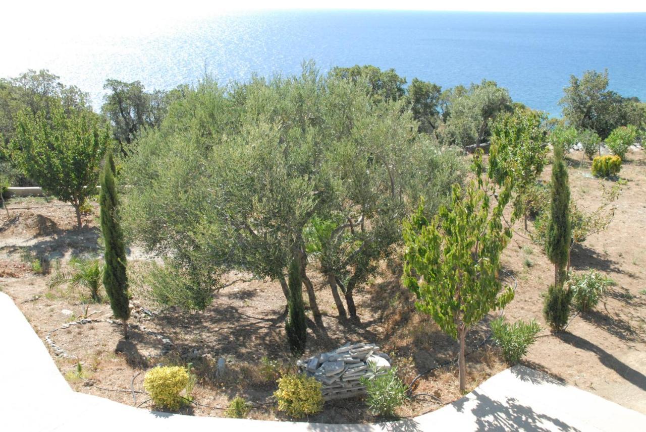 Appartement Vue Sur Mer Santa-Maria-di-Lota Exteriér fotografie