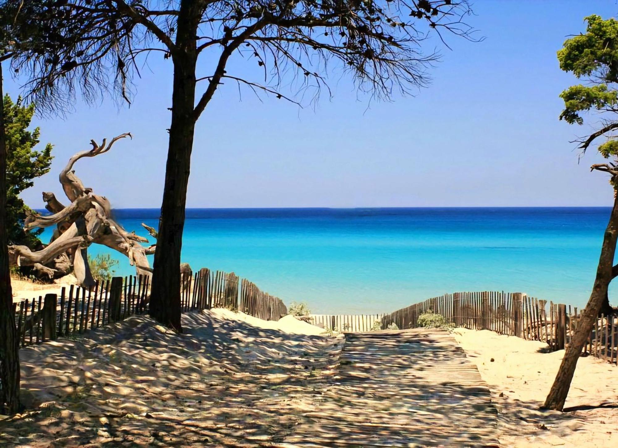 Appartement Vue Sur Mer Santa-Maria-di-Lota Exteriér fotografie